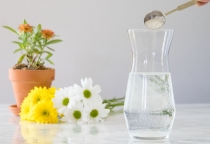 BẬT MÍ 7 CÁCH LÀM HOA TƯƠI LÂU – MẸO VẶT TRONG NHÀ