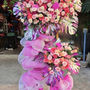 Hoa chúc mừng hội nghị - khai trương 42926
