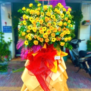 Hoa chúc mừng hội nghị - khai trương 21718