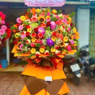 Hoa chúc mừng hội nghị - khai trương 31130