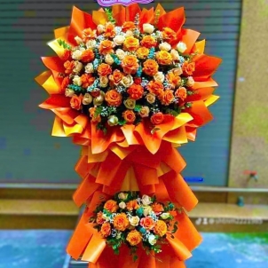 Hoa chúc mừng hội nghị - khai trương 63094