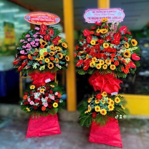 Hoa chúc mừng hội nghị - khai trương 82394