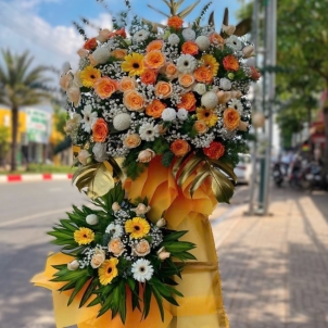 Hoa chúc mừng hội nghị - khai trương 54511