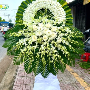 Hoa Viếng 42242