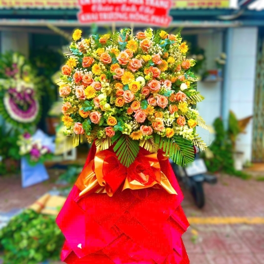 Hoa chúc mừng hội nghị - khai trương 69743